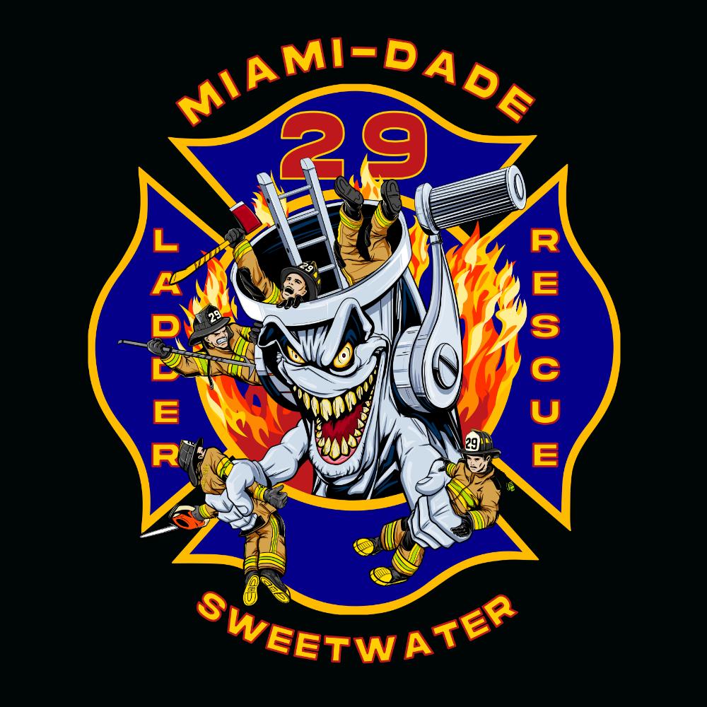 MDFR 29